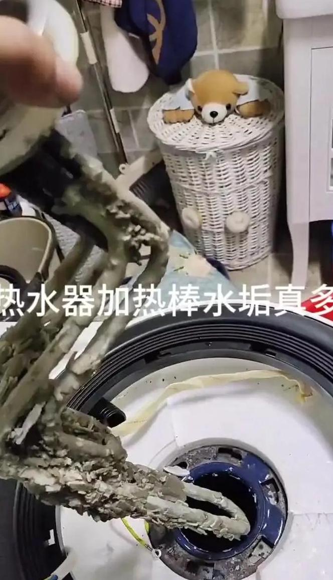 电热水器不清洗的危害与影响揭秘