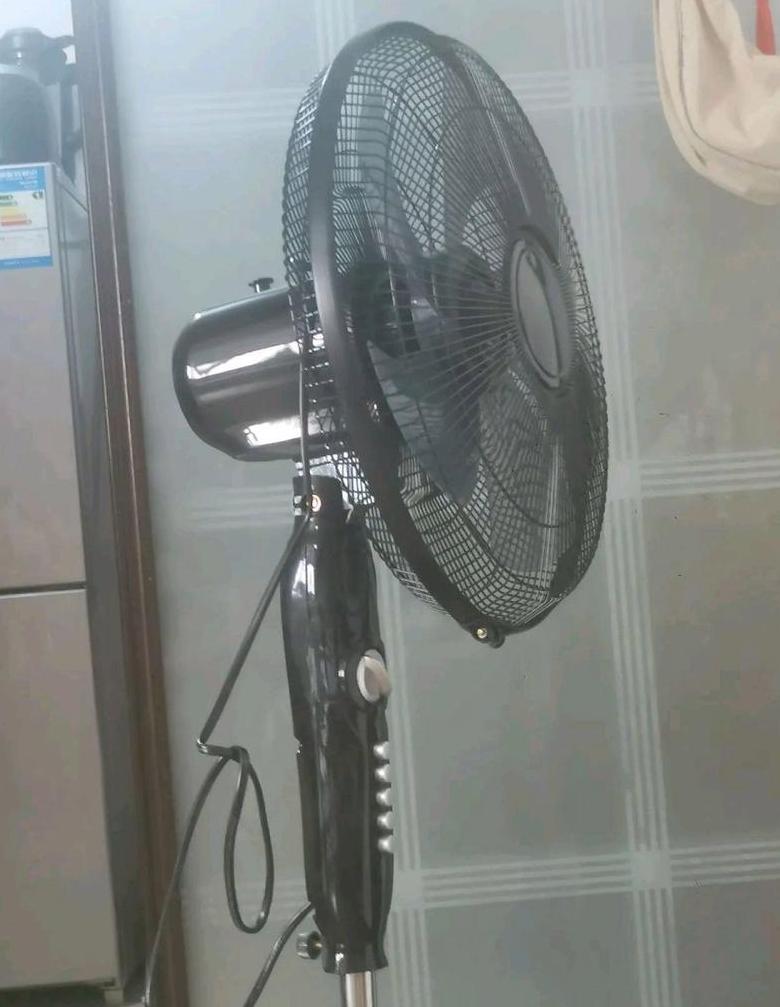 电风扇电机有声音不转是怎么回事