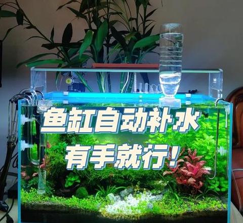 森森HLGX1500二代自动补水功能实测与一周外出鱼缸管理攻略