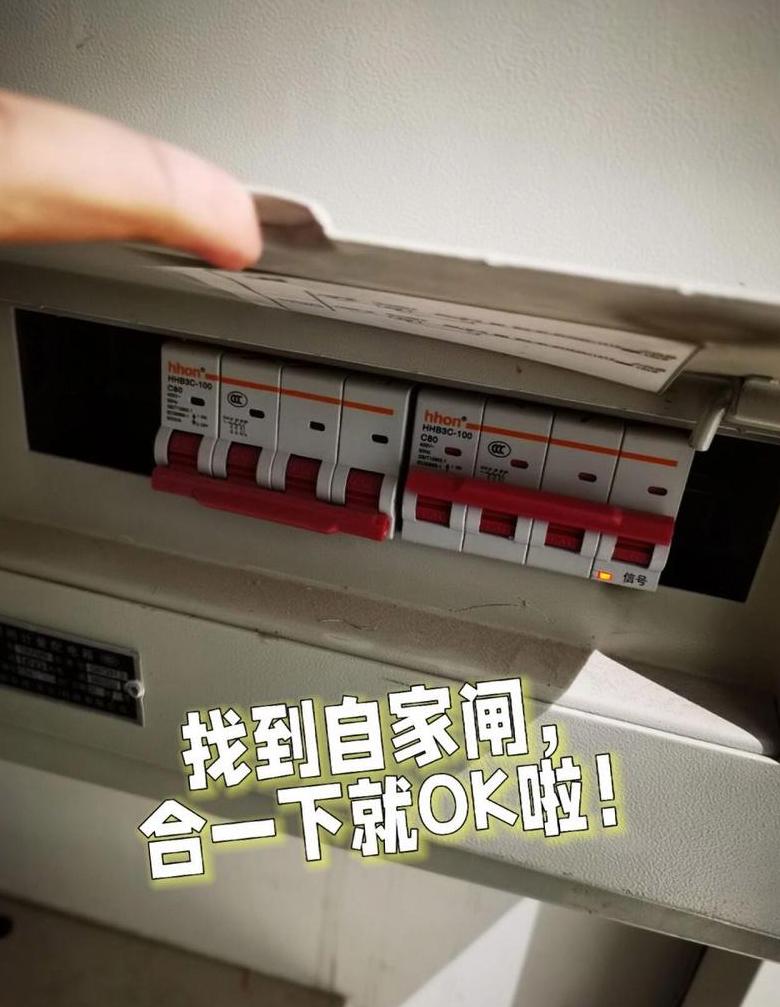 家里灯有电插座没电但是没跳闸