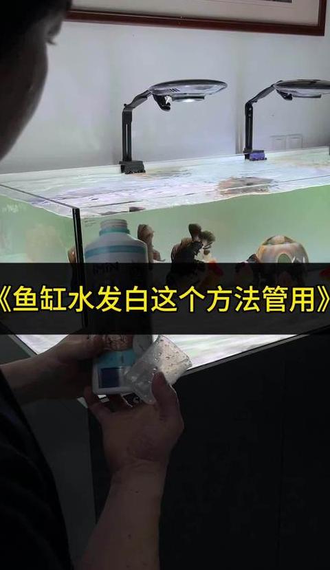 龙缸注水技巧与小鱼缸换水指南