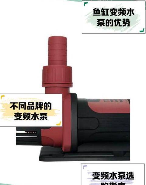 鱼缸循环系统与增氧泵：如何选择？