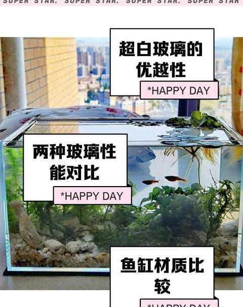 鱼缸风水摆放禁忌与优化建议