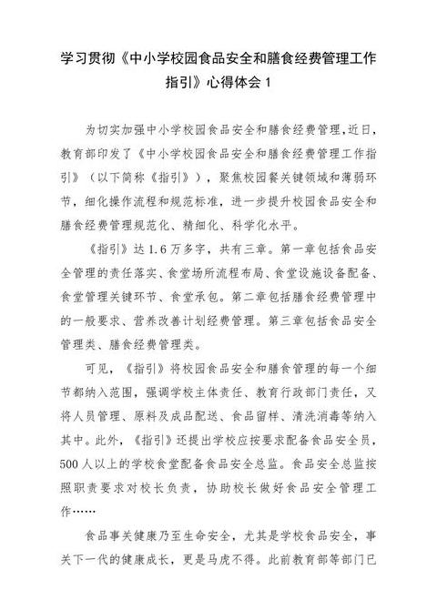 校园食品安全专项整治工作总结：构建安全防线，护航师生健康