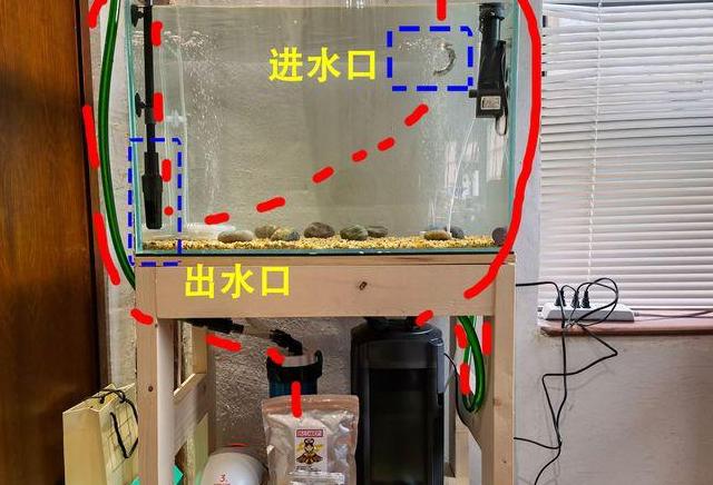 鱼缸清洁与造景全攻略